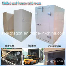 Chilled and Frozen Cold Room